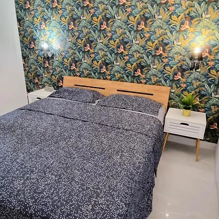Oasis De Palmas * Gandía